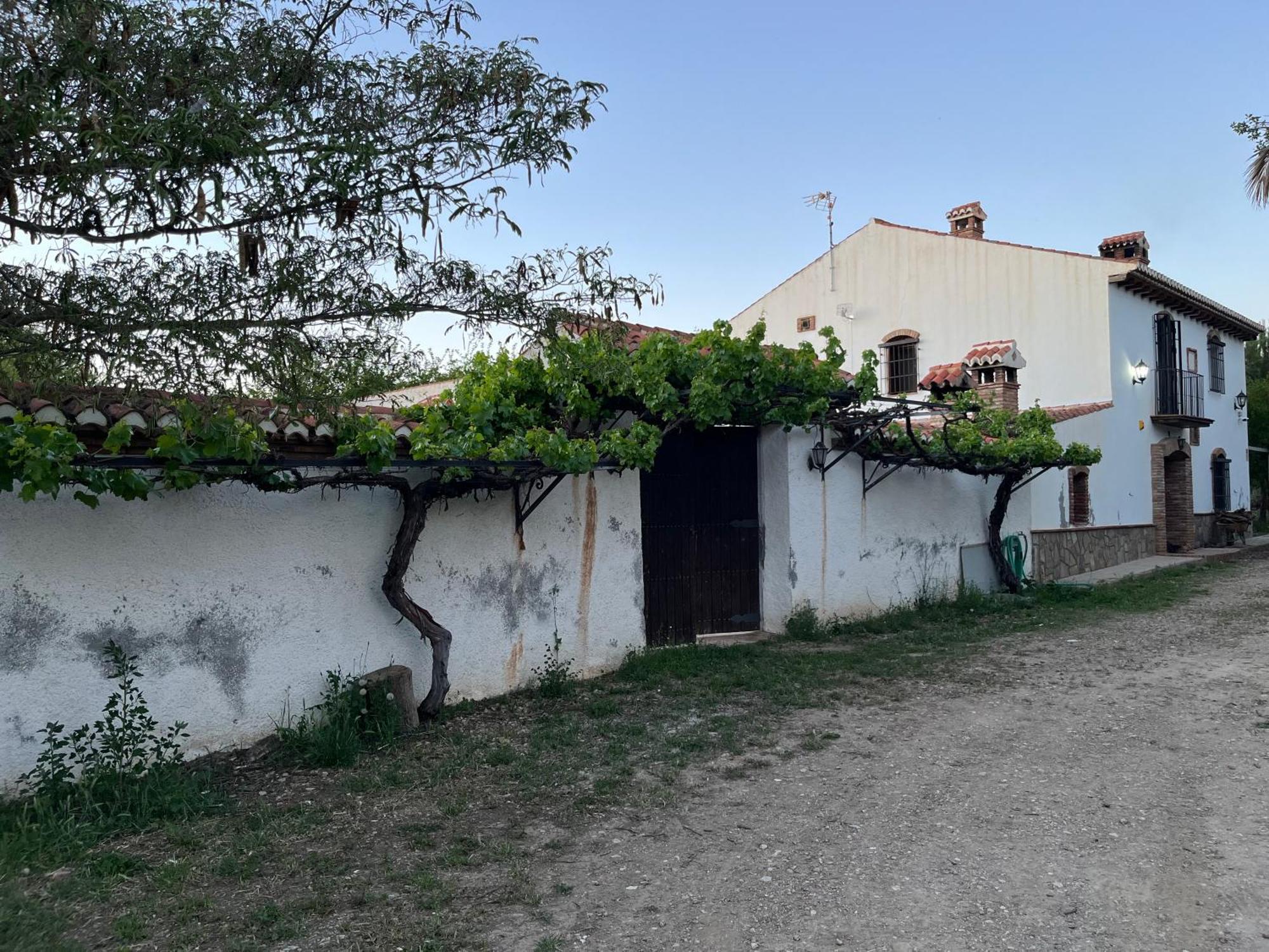 グアディクス Cortijo Don Melitonヴィラ エクステリア 写真