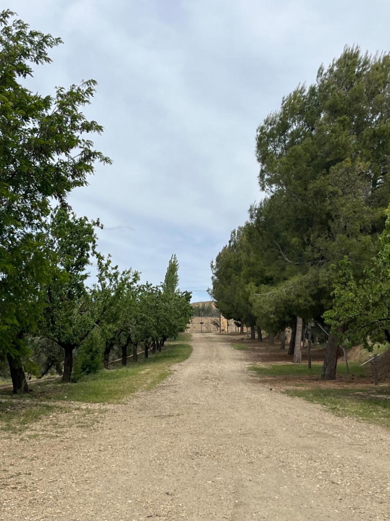 グアディクス Cortijo Don Melitonヴィラ エクステリア 写真